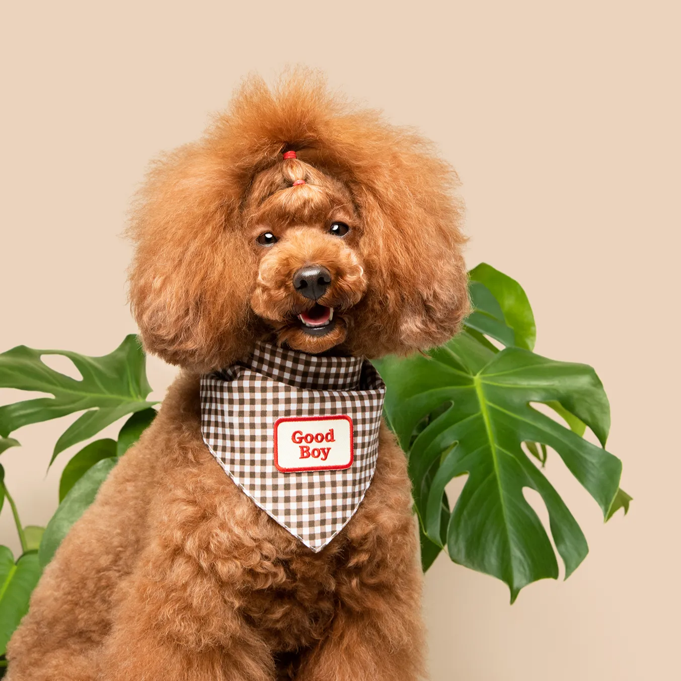 Good Boy Iron-On Patch for Dogs