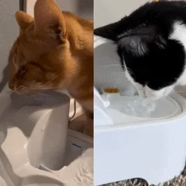 Petfountain™️ | Geef Uw Huisdieren Altijd Vers Water